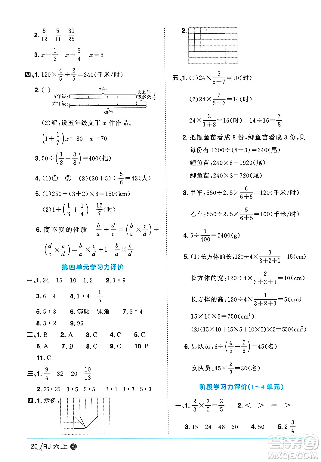 福建少年兒童出版社2024年秋陽(yáng)光同學(xué)課時(shí)優(yōu)化作業(yè)六年級(jí)數(shù)學(xué)上冊(cè)人教版福建專(zhuān)版答案