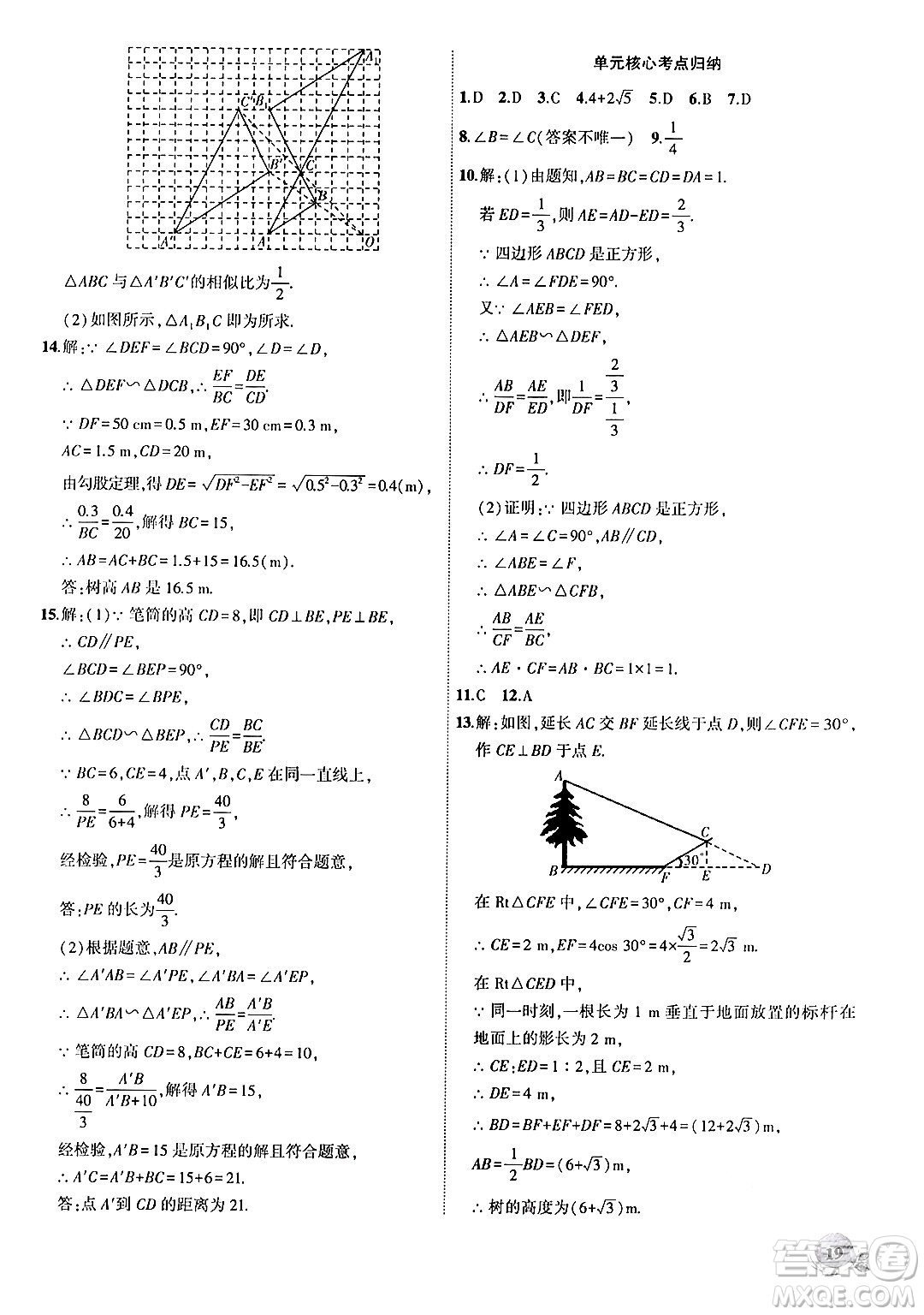 安徽大學(xué)出版社2024年秋創(chuàng)新課堂創(chuàng)新作業(yè)本九年級數(shù)學(xué)上冊滬科版答案