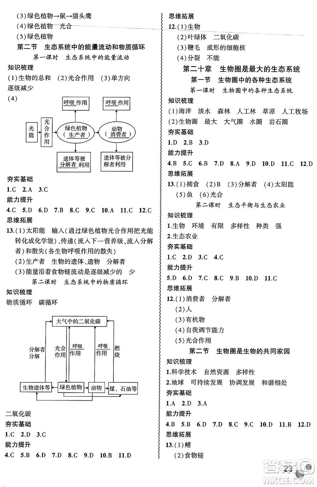 安徽大學(xué)出版社2024年秋創(chuàng)新課堂創(chuàng)新作業(yè)本八年級(jí)生物上冊(cè)蘇教版答案