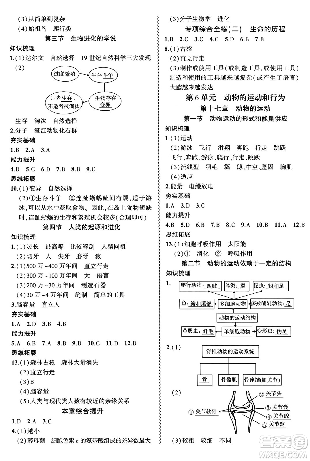 安徽大學(xué)出版社2024年秋創(chuàng)新課堂創(chuàng)新作業(yè)本八年級(jí)生物上冊(cè)蘇教版答案