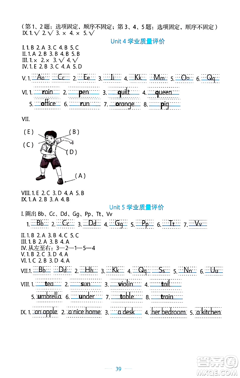 北京師范大學(xué)出版社2024年秋課堂精練三年級英語上冊北師大版福建專版三起點答案