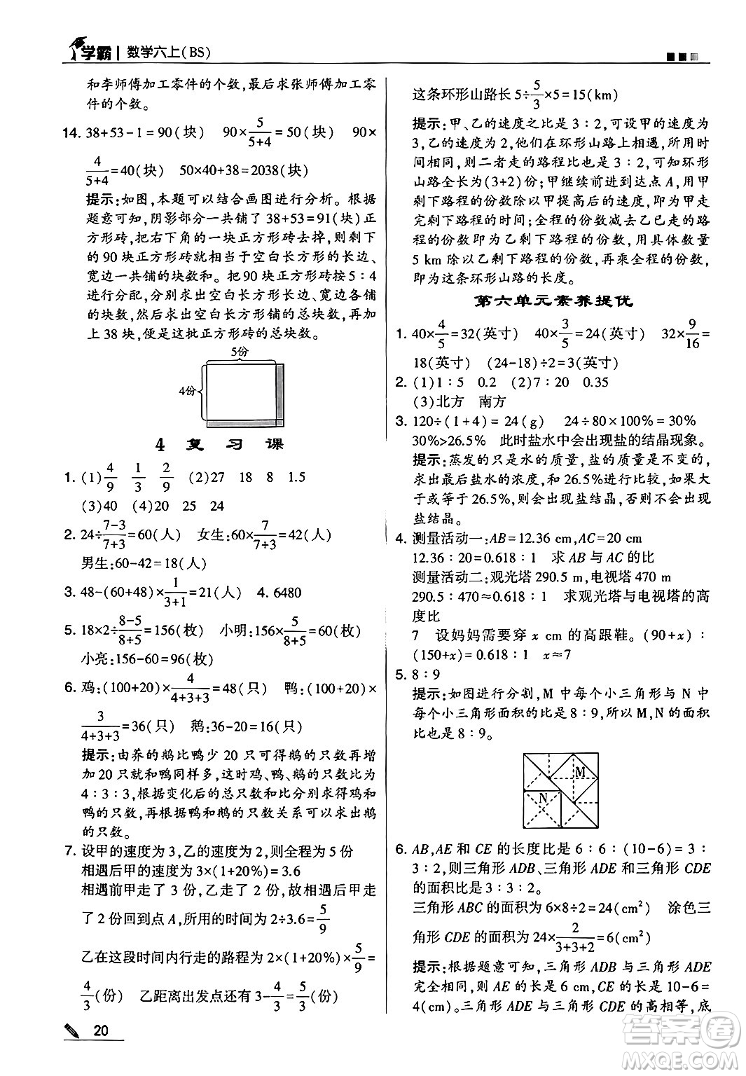 河海大學(xué)出版社2024年秋5星學(xué)霸六年級(jí)數(shù)學(xué)上冊北師大版答案