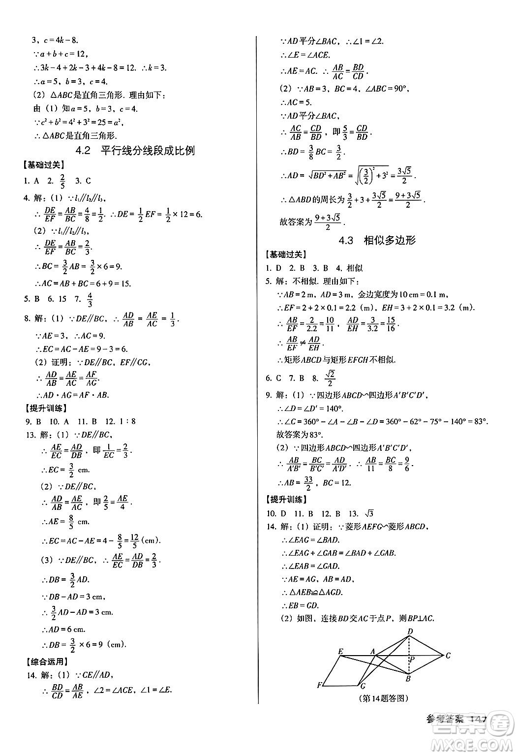 廣東經(jīng)濟(jì)出版社2024年秋全優(yōu)點(diǎn)練課計(jì)劃九年級(jí)數(shù)學(xué)上冊(cè)北師大版答案