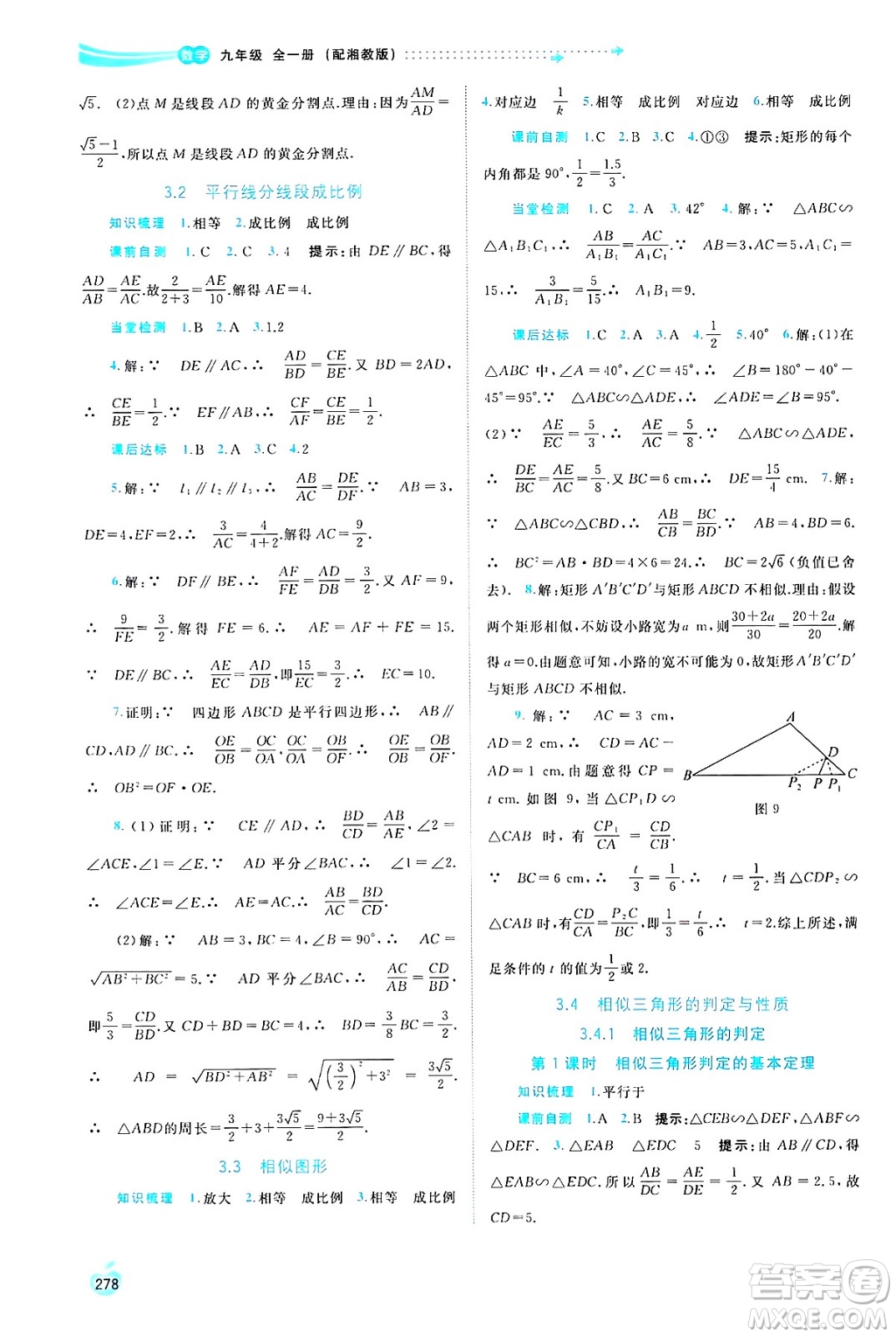 廣西師范大學(xué)出版社2025年春新課程學(xué)習(xí)與測評同步學(xué)習(xí)九年級數(shù)學(xué)全一冊湘教版答案