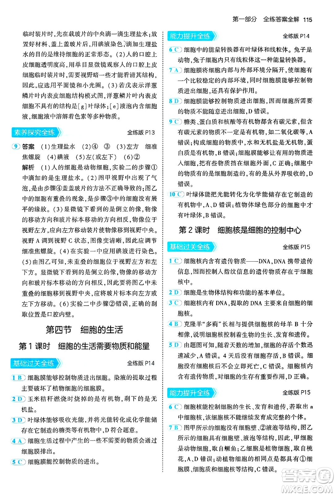 四川大學出版社2024年秋初中同步5年中考3年模擬七年級生物上冊人教版答案
