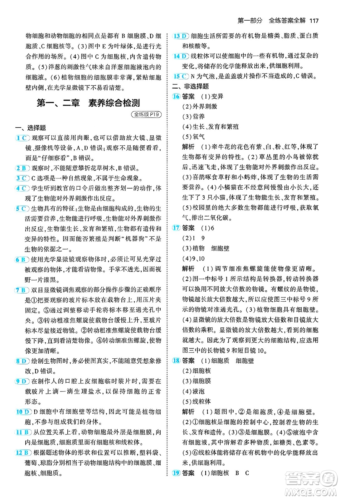 四川大學出版社2024年秋初中同步5年中考3年模擬七年級生物上冊人教版答案