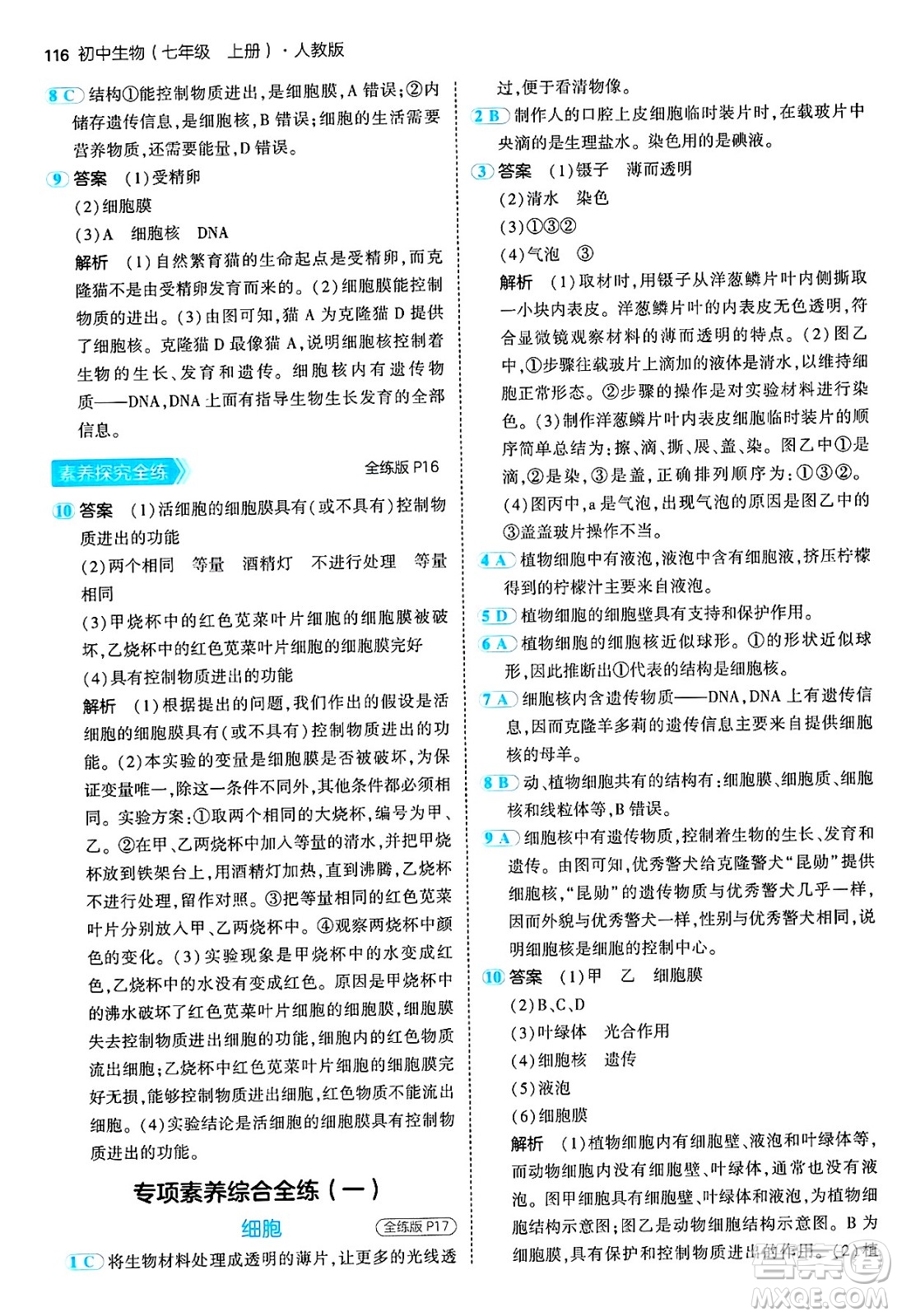 四川大學出版社2024年秋初中同步5年中考3年模擬七年級生物上冊人教版答案