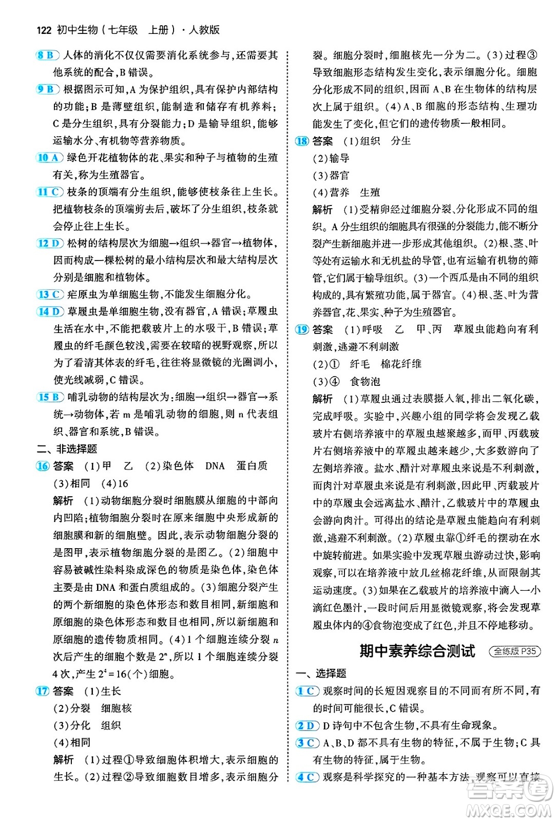 四川大學出版社2024年秋初中同步5年中考3年模擬七年級生物上冊人教版答案