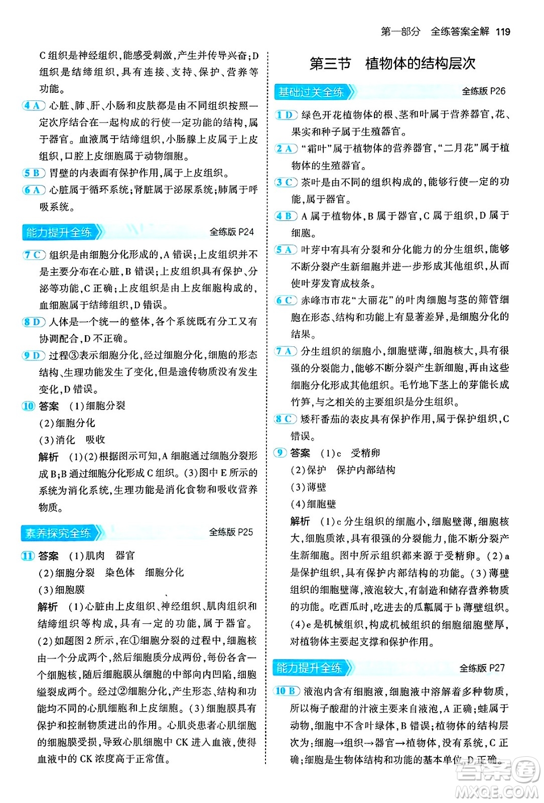 四川大學出版社2024年秋初中同步5年中考3年模擬七年級生物上冊人教版答案
