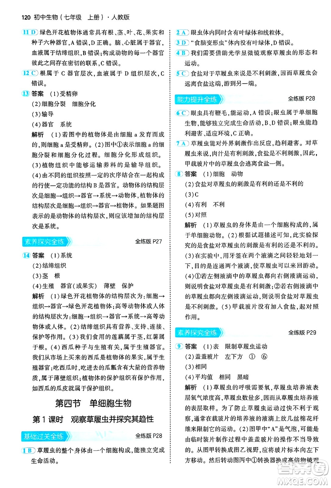 四川大學出版社2024年秋初中同步5年中考3年模擬七年級生物上冊人教版答案
