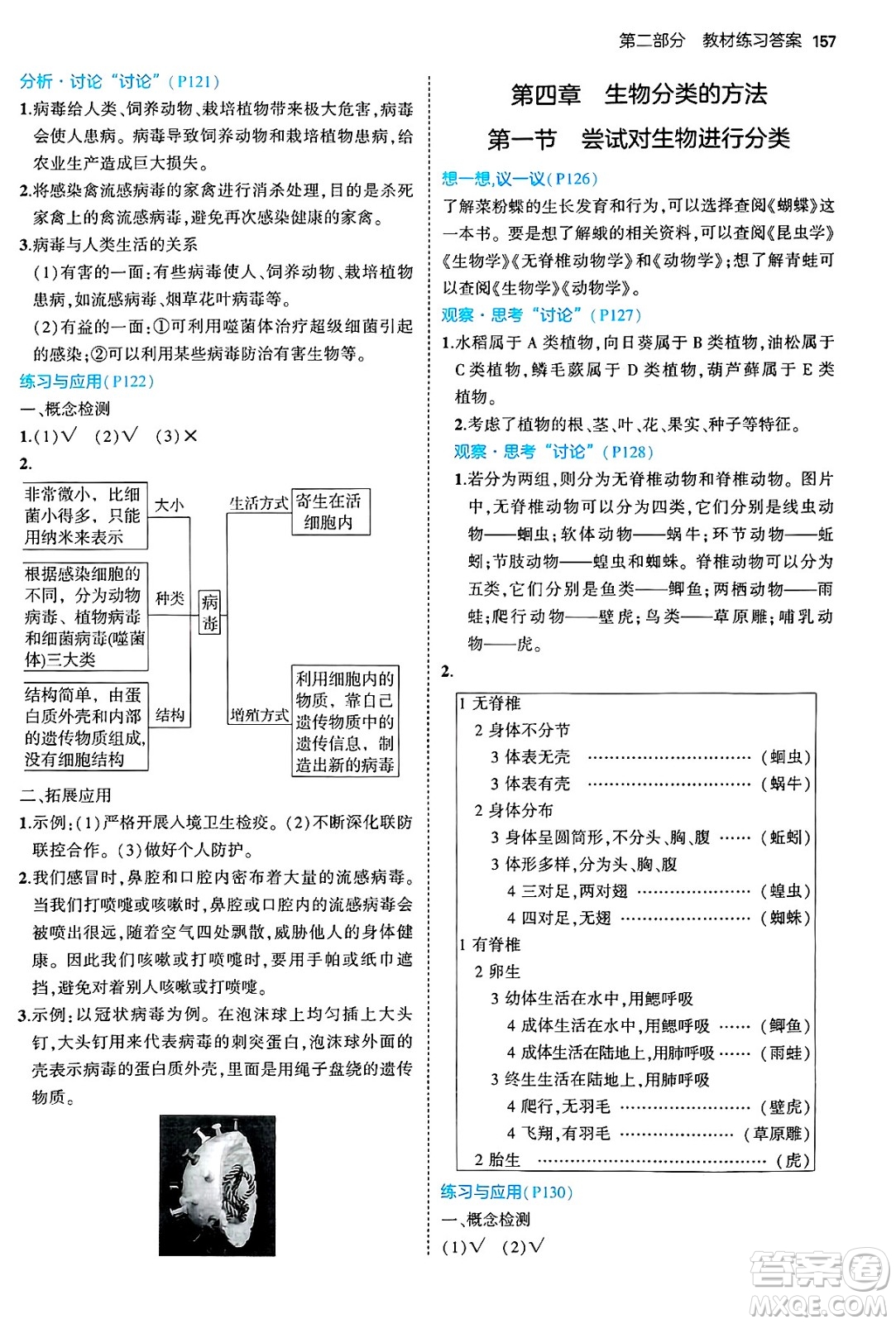 四川大學出版社2024年秋初中同步5年中考3年模擬七年級生物上冊人教版答案