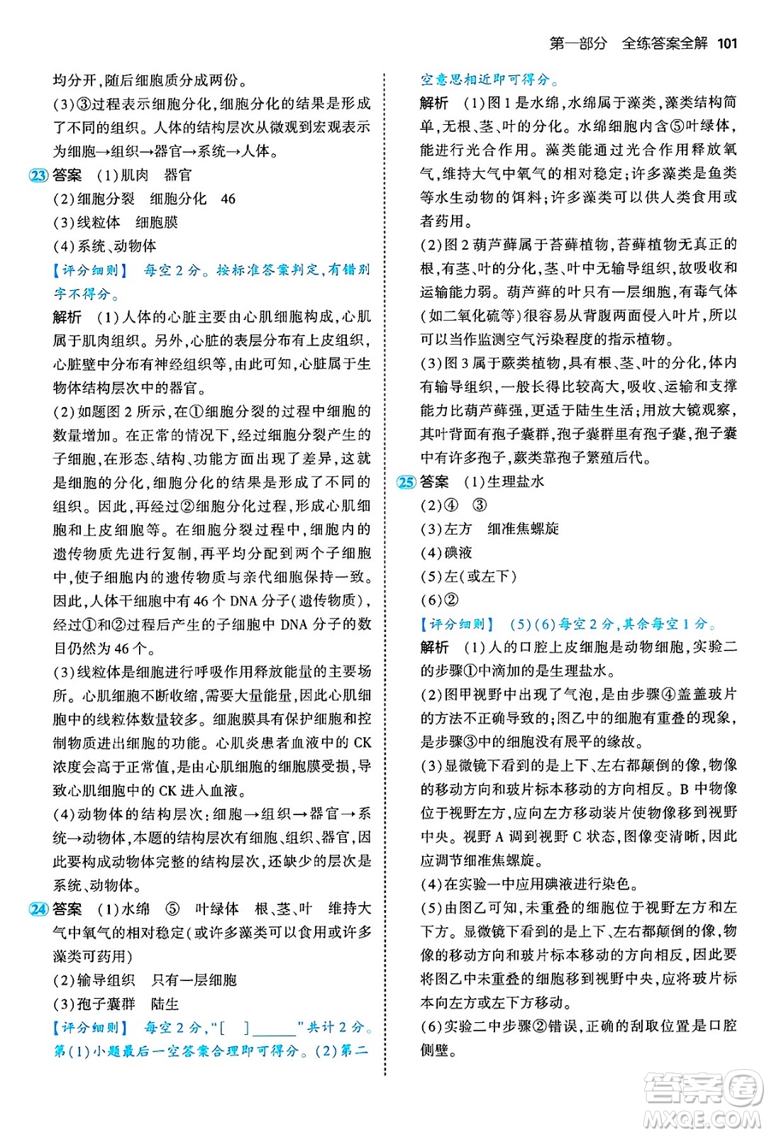 四川大學(xué)出版社2024年秋初中同步5年中考3年模擬七年級生物上冊濟南版答案