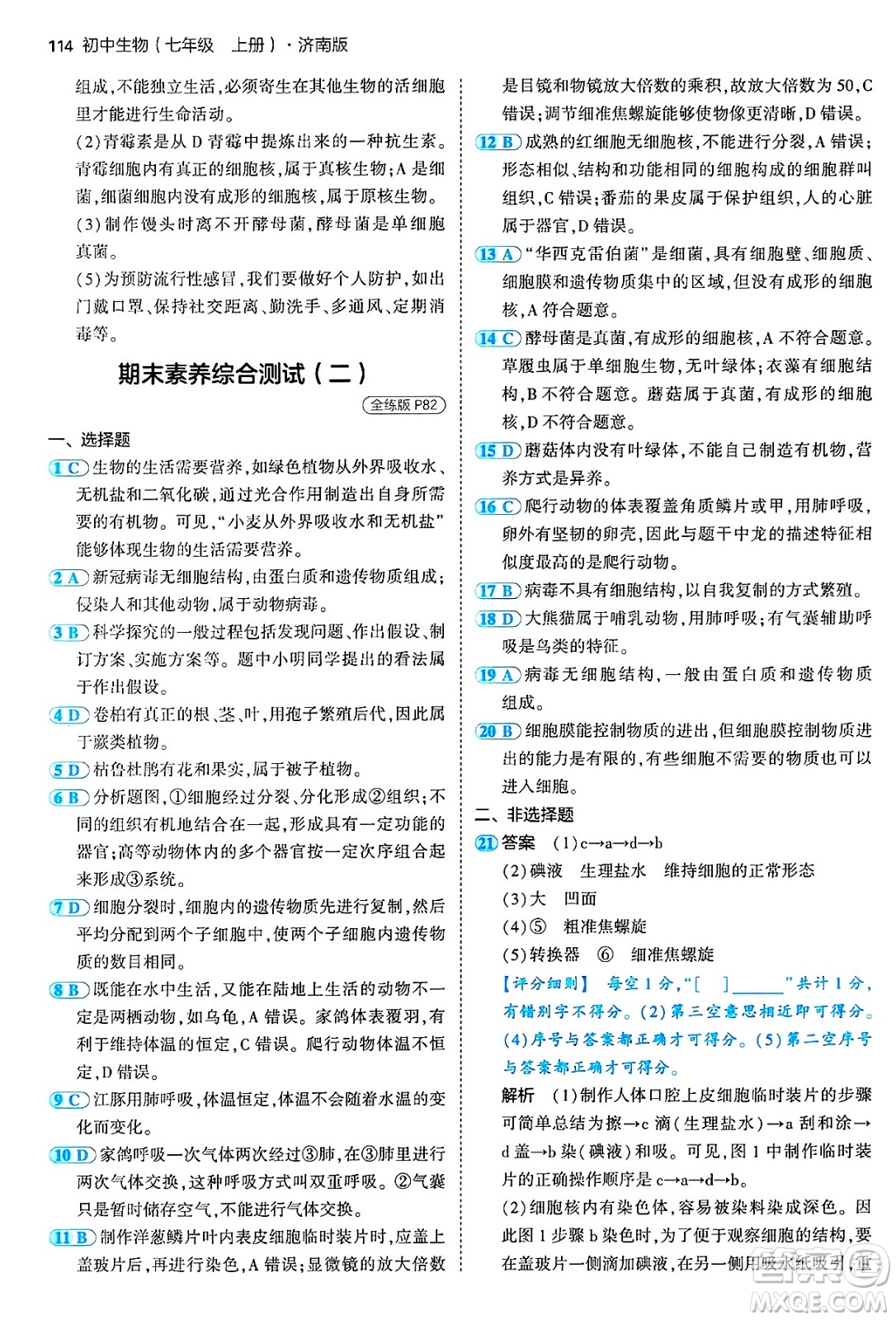 四川大學(xué)出版社2024年秋初中同步5年中考3年模擬七年級生物上冊濟南版答案