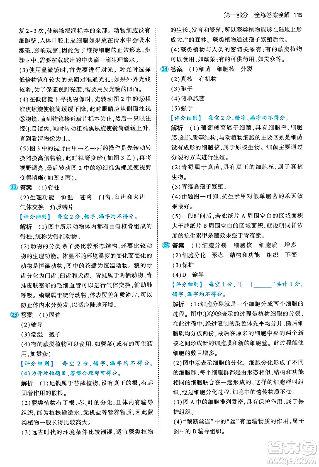 四川大學(xué)出版社2024年秋初中同步5年中考3年模擬七年級生物上冊濟南版答案