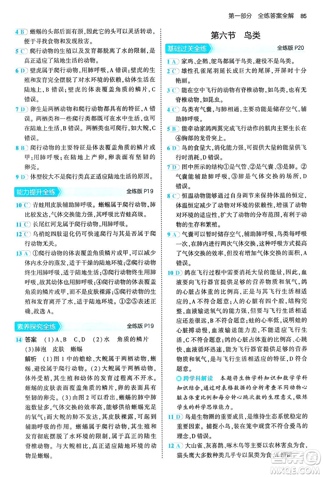 首都師范大學(xué)出版社2024年秋初中同步5年中考3年模擬八年級生物上冊魯科版山東專版答案