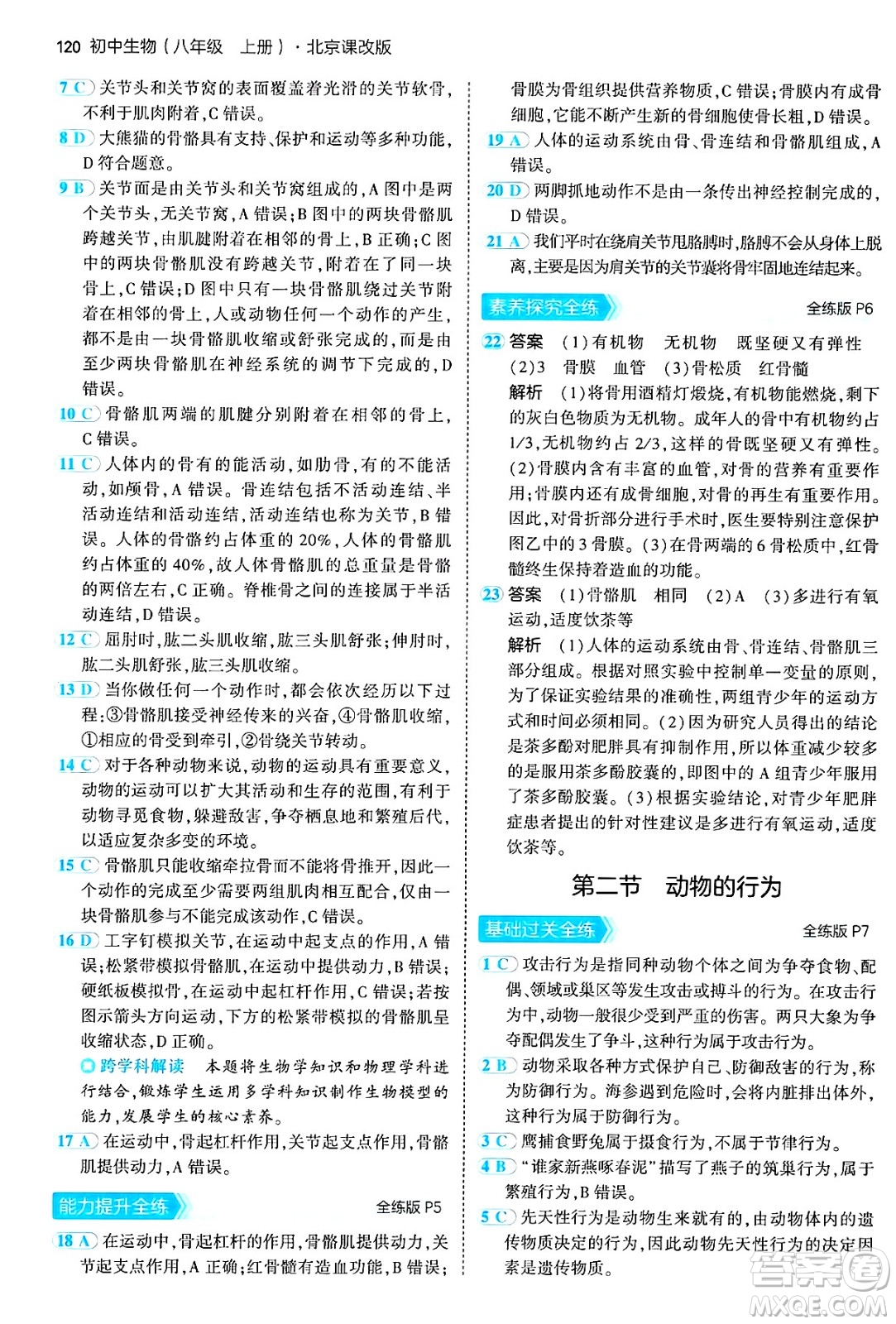 首都師范大學出版社2024年秋初中同步5年中考3年模擬八年級生物上冊北京課改版北京專版答案