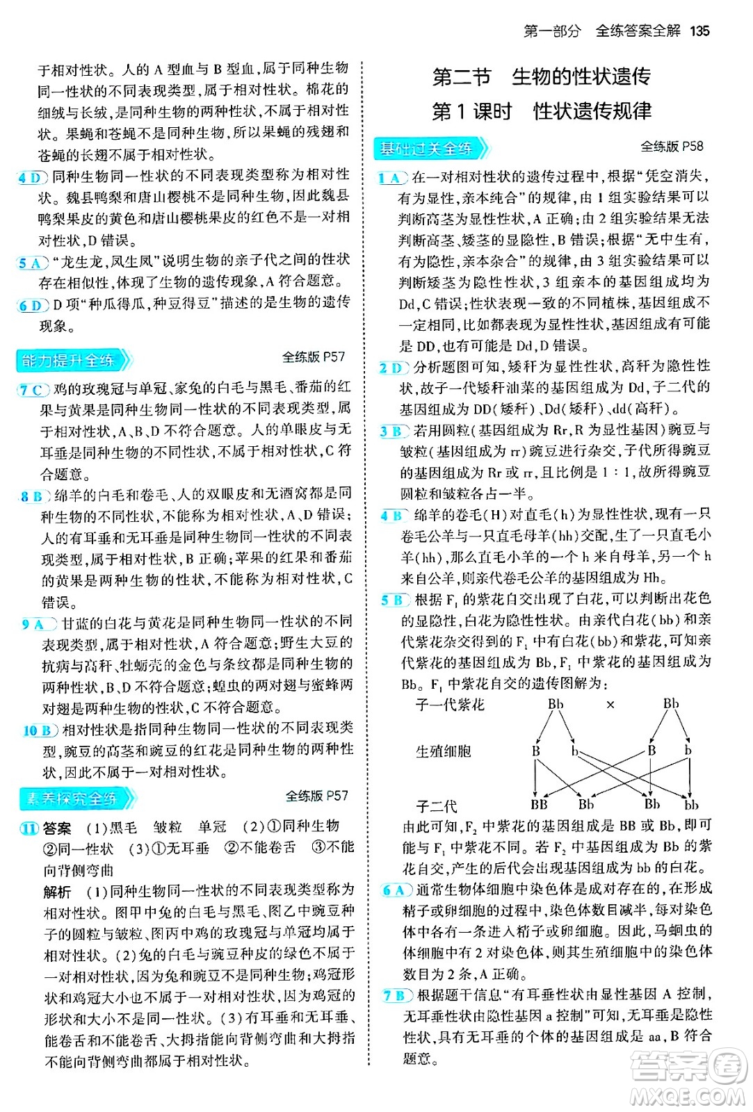 首都師范大學出版社2024年秋初中同步5年中考3年模擬八年級生物上冊北京課改版北京專版答案