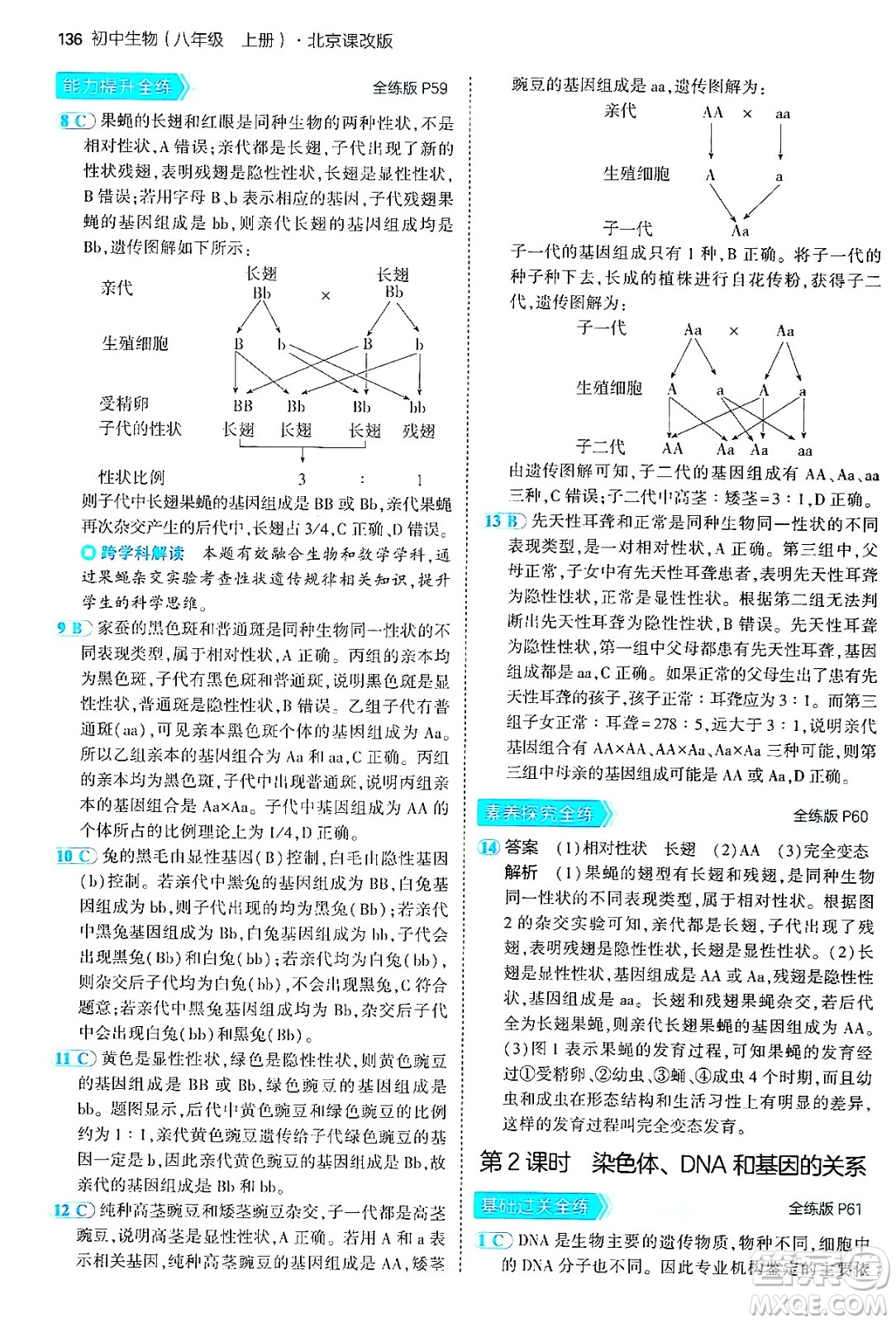首都師范大學出版社2024年秋初中同步5年中考3年模擬八年級生物上冊北京課改版北京專版答案