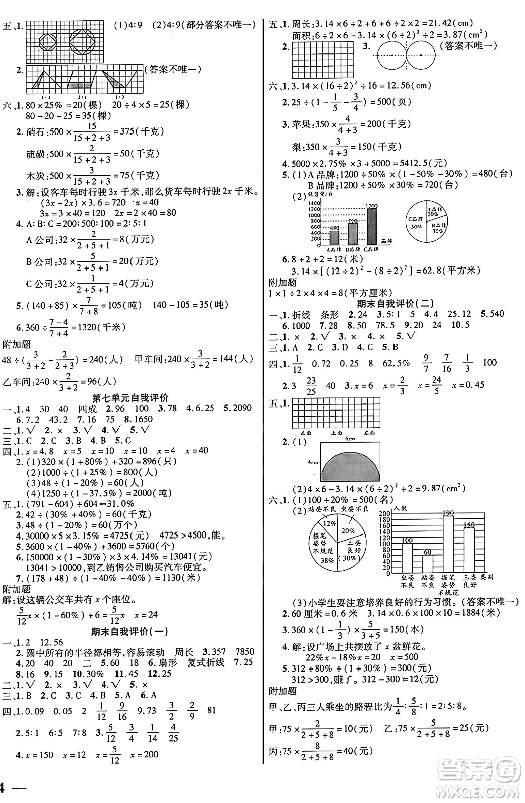 陽(yáng)光出版社2024年秋揚(yáng)帆文化激活思維智能訓(xùn)練六年級(jí)數(shù)學(xué)上冊(cè)北師大版答案
