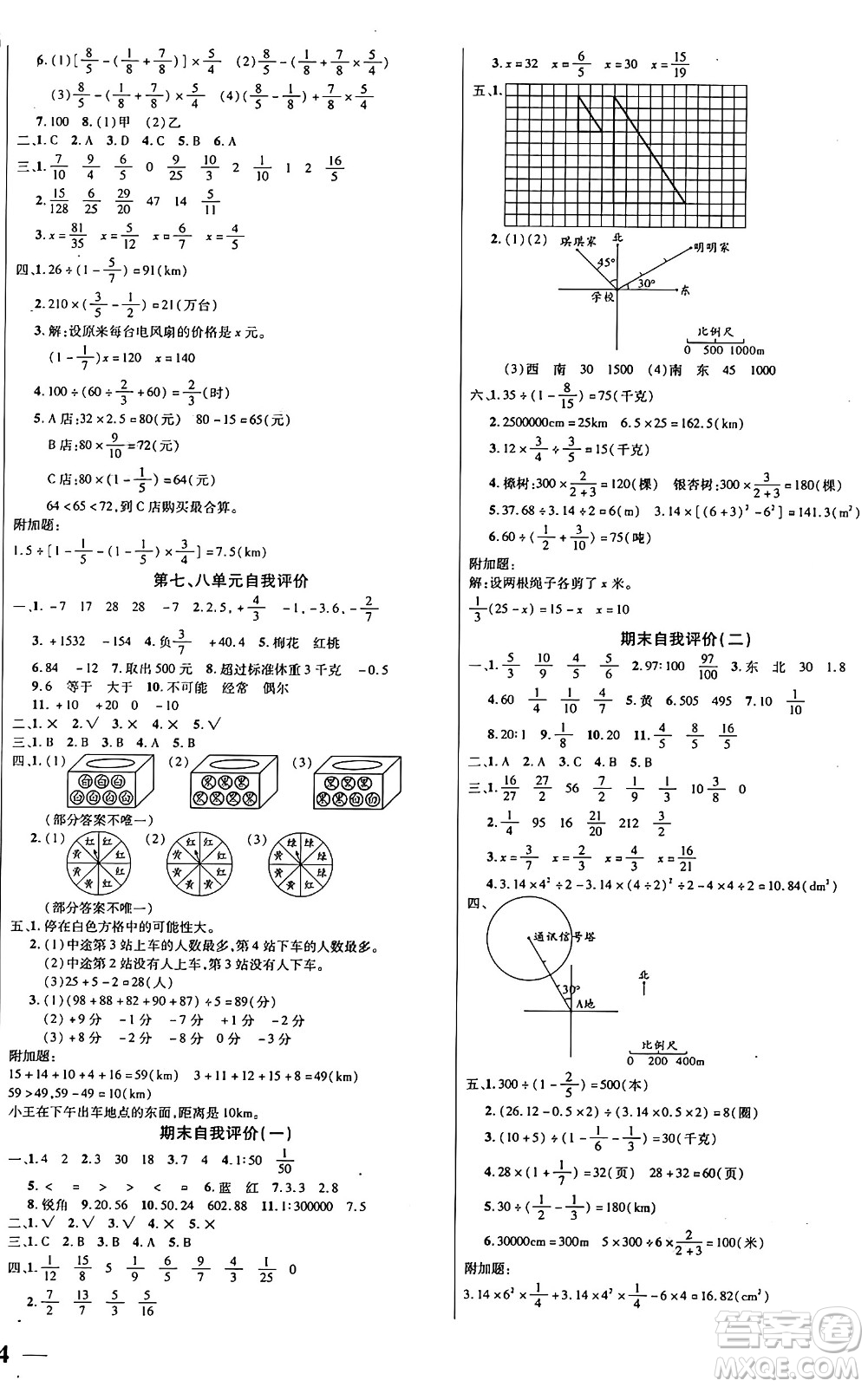 陽光出版社2024年秋揚帆文化激活思維智能訓練六年級數(shù)學上冊西師版答案