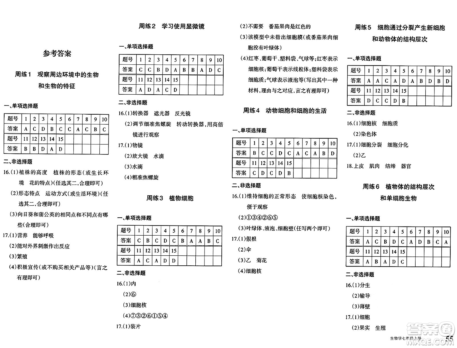 新疆青少年出版社2024年秋優(yōu)學(xué)1+1評價與測試七年級生物上冊通用版答案