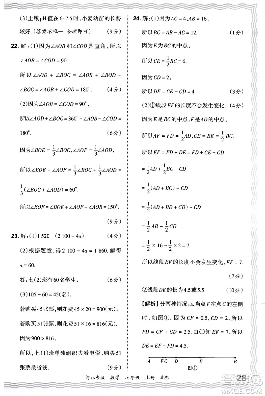 江西人民出版社2024年秋王朝霞各地期末試卷精選七年級(jí)數(shù)學(xué)上冊(cè)北師大版河北專版答案
