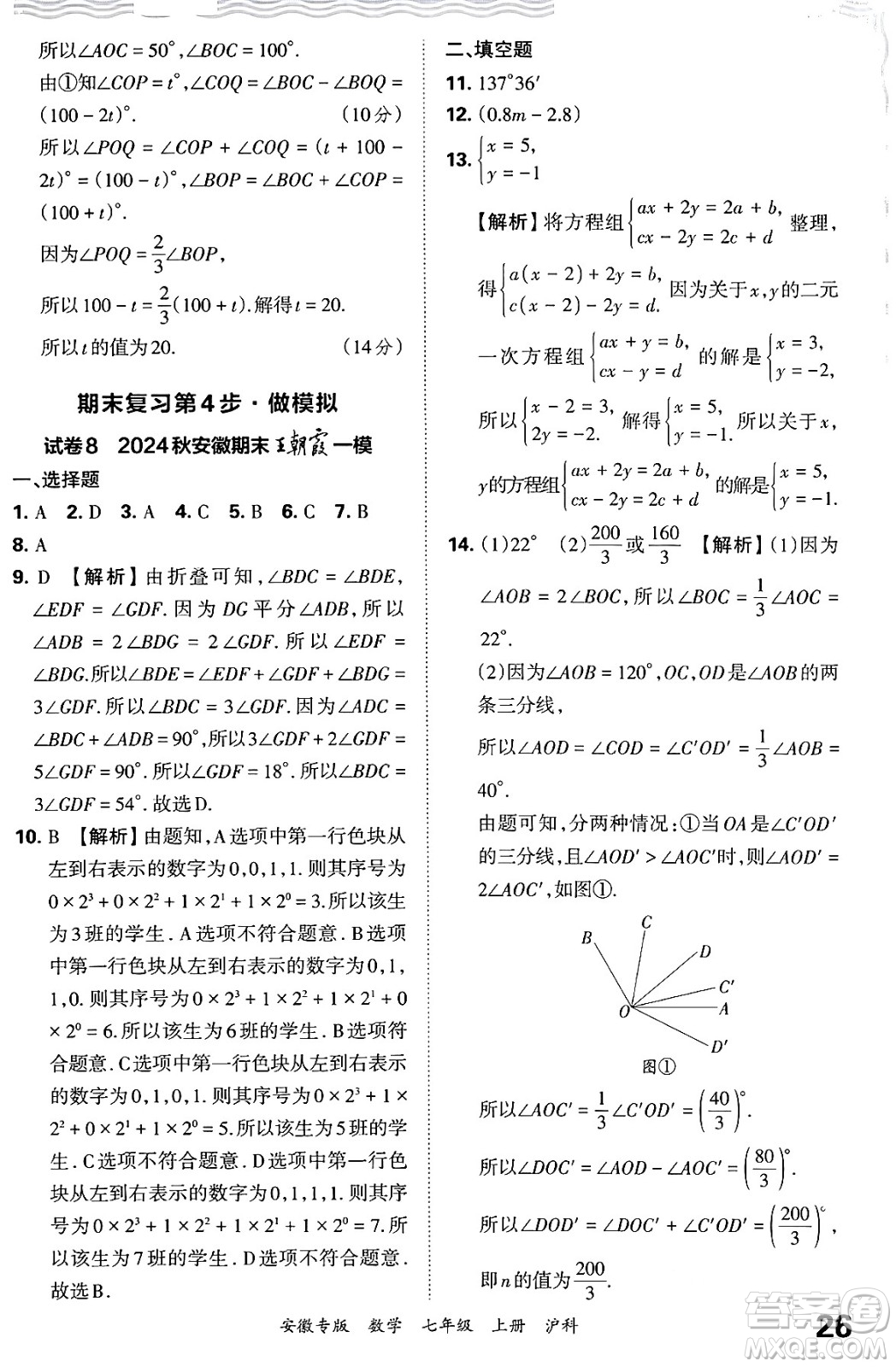 江西人民出版社2024年秋王朝霞各地期末試卷精選七年級(jí)數(shù)學(xué)上冊(cè)滬科版安徽專(zhuān)版答案