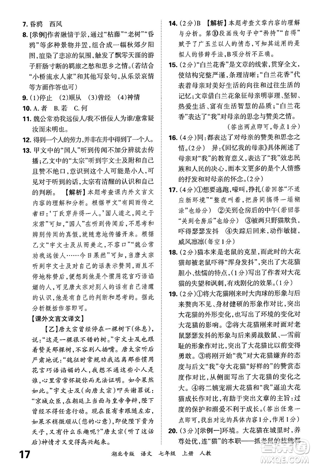 江西人民出版社2024年秋王朝霞各地期末試卷精選七年級(jí)語文上冊(cè)人教版湖北專版答案