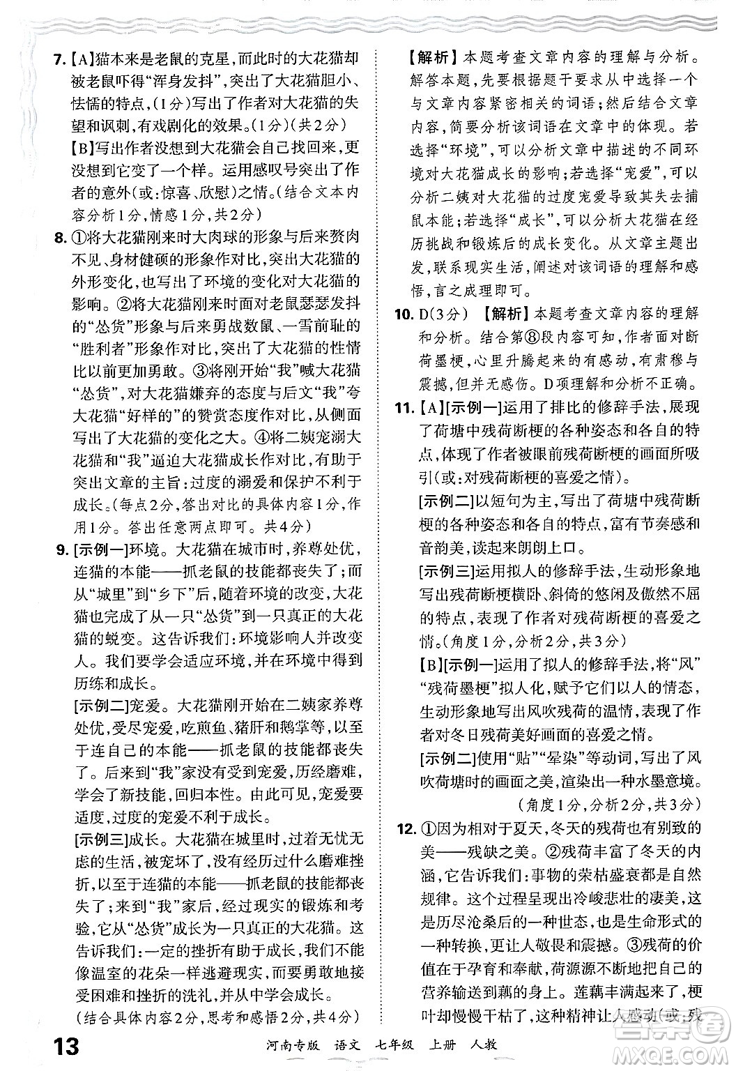 江西人民出版社2024年秋王朝霞各地期末試卷精選七年級(jí)語文上冊(cè)人教版河南專版答案