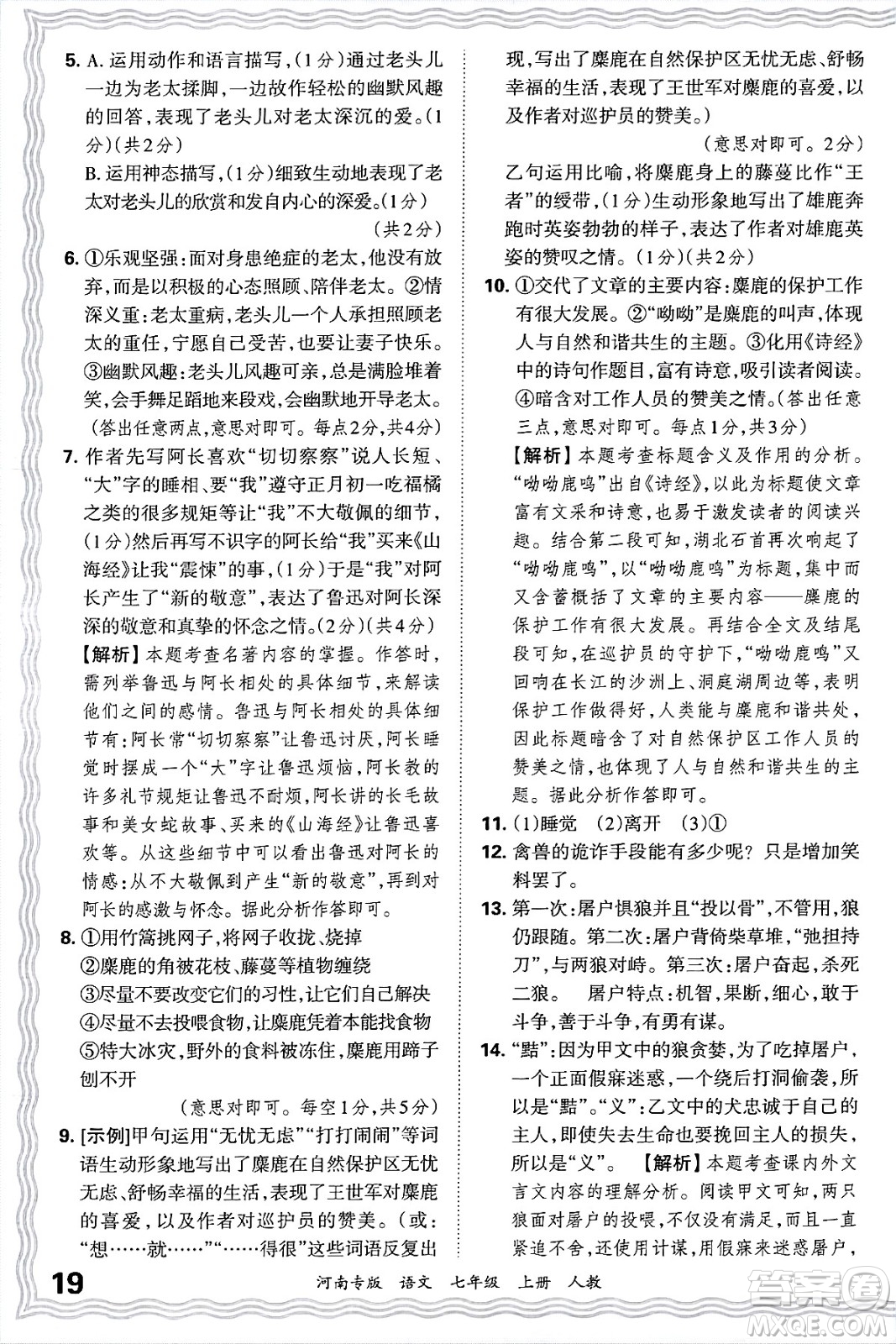 江西人民出版社2024年秋王朝霞各地期末試卷精選七年級(jí)語文上冊(cè)人教版河南專版答案