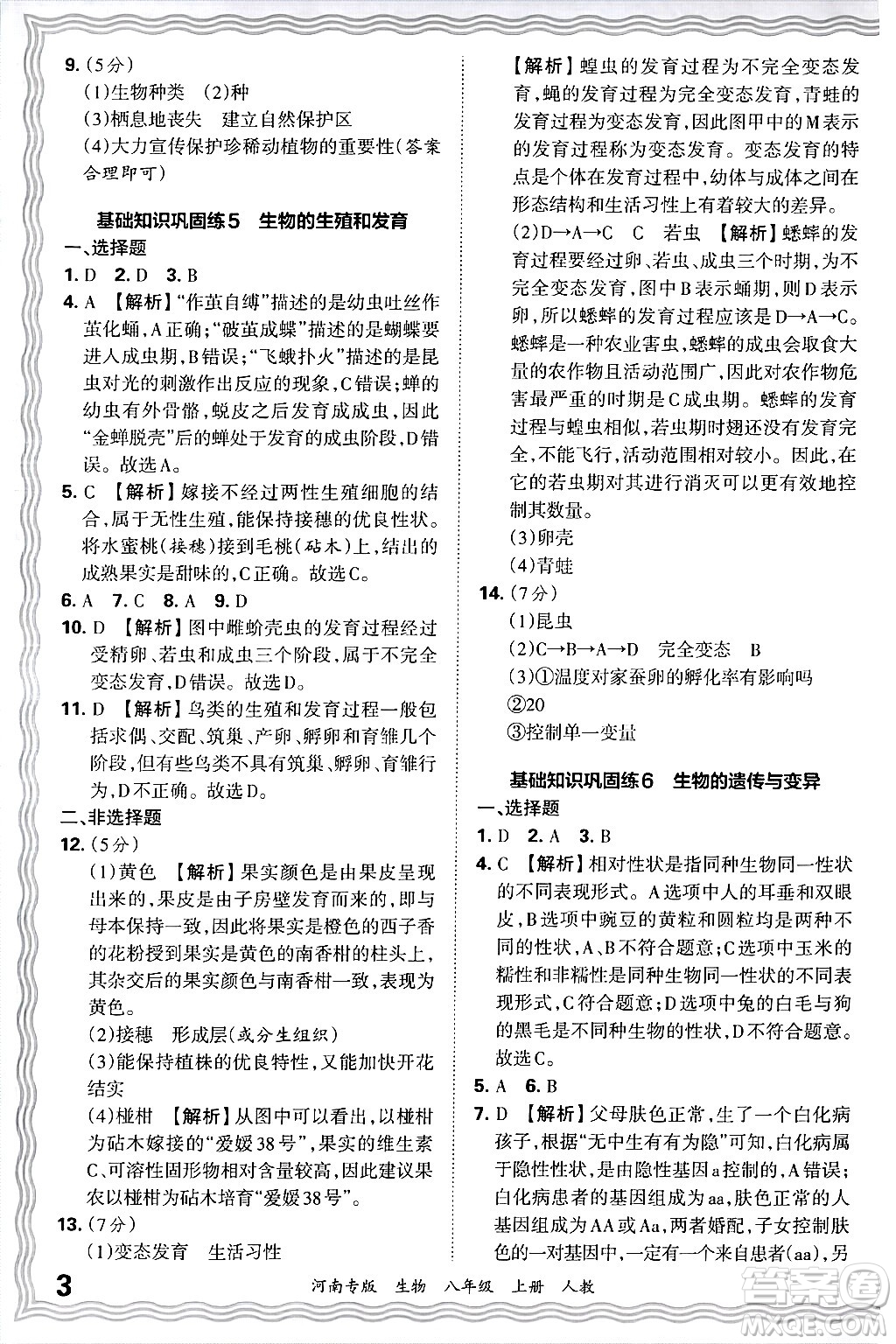 江西人民出版社2024年秋王朝霞各地期末試卷精選八年級(jí)生物上冊(cè)人教版河南專版答案