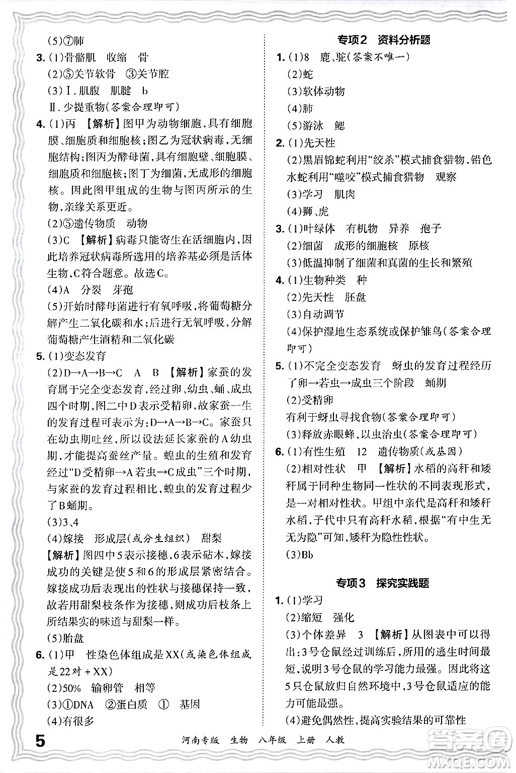 江西人民出版社2024年秋王朝霞各地期末試卷精選八年級(jí)生物上冊(cè)人教版河南專版答案
