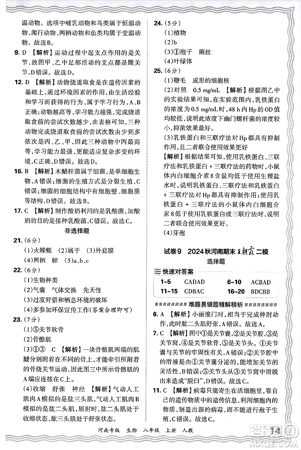江西人民出版社2024年秋王朝霞各地期末試卷精選八年級(jí)生物上冊(cè)人教版河南專版答案