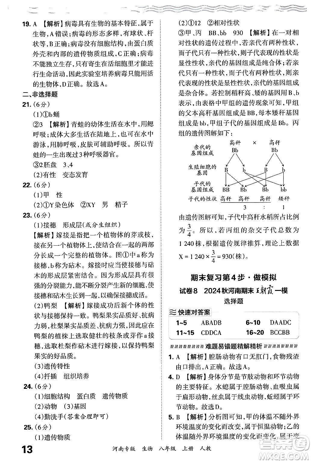 江西人民出版社2024年秋王朝霞各地期末試卷精選八年級(jí)生物上冊(cè)人教版河南專版答案