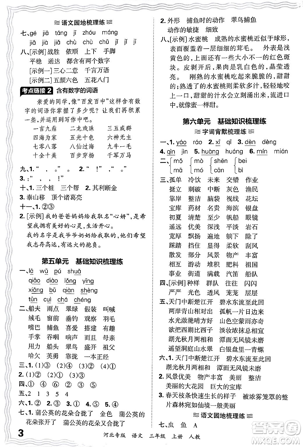 江西人民出版社2024年秋王朝霞各地期末試卷精選三年級語文上冊人教版河北專版答案