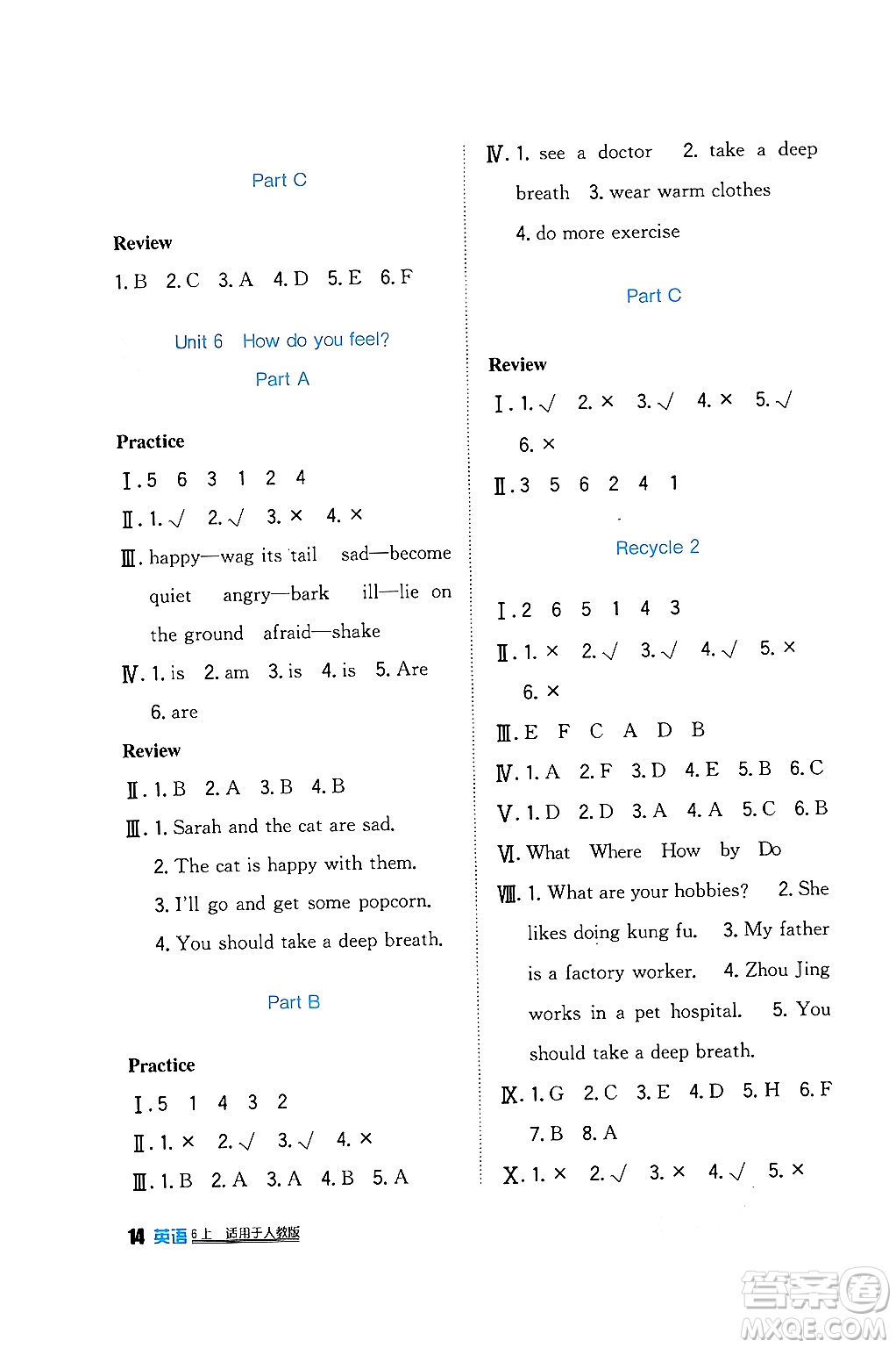 四川教育出版社2024年秋新課標(biāo)小學(xué)生學(xué)習(xí)實(shí)踐園地六年級(jí)英語(yǔ)上冊(cè)人教版三起點(diǎn)答案