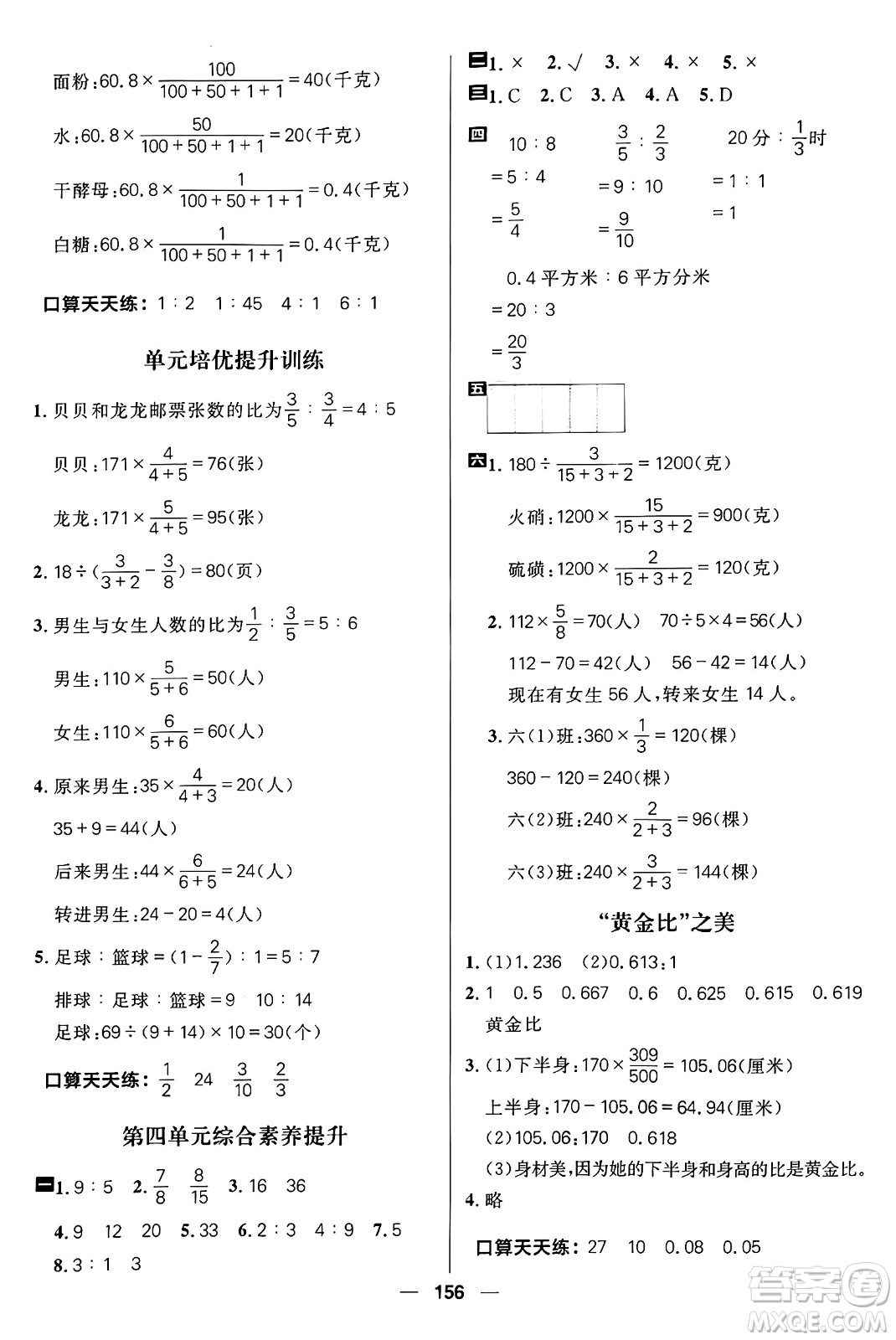 南方出版社2024秋學(xué)緣教育核心素養(yǎng)天天練六年級數(shù)學(xué)上冊青島版答案