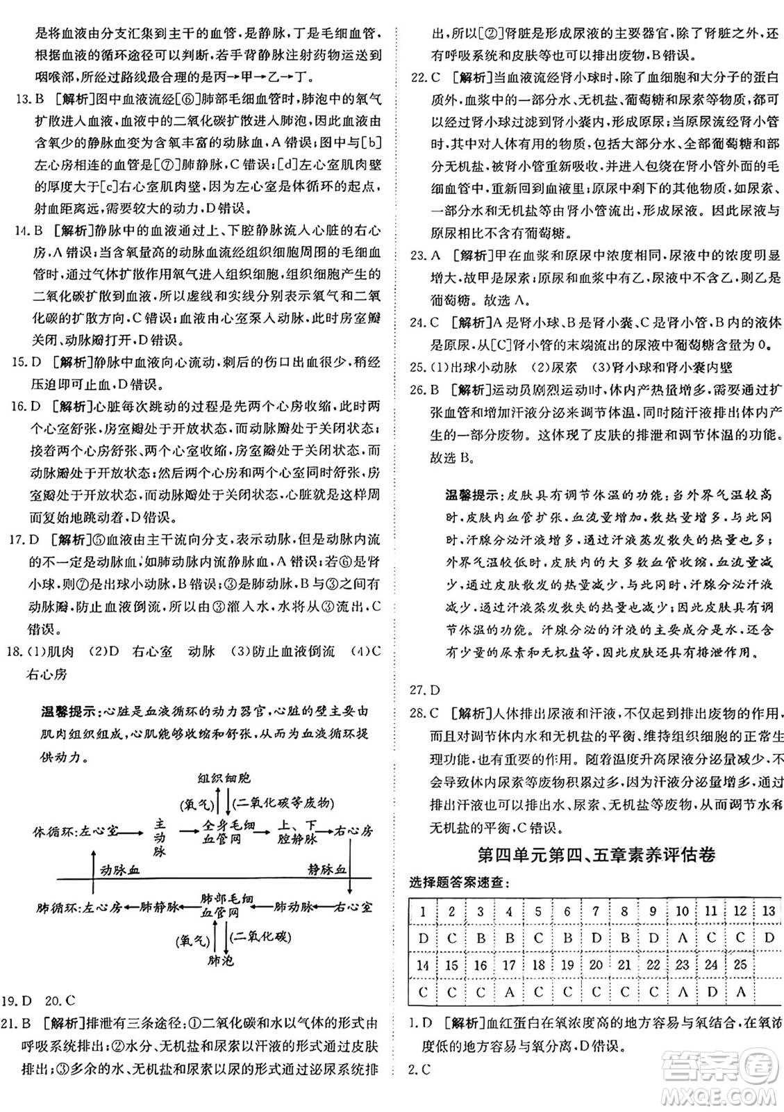 新疆青少年出版社2024年秋神龍教育期末考向標全程跟蹤突破測試卷七年級生物上冊魯科版答案