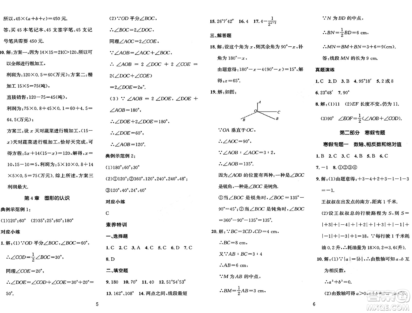 長江出版社2025年鑫浪傳媒給力100寒假作業(yè)七年級數(shù)學(xué)湘教版答案