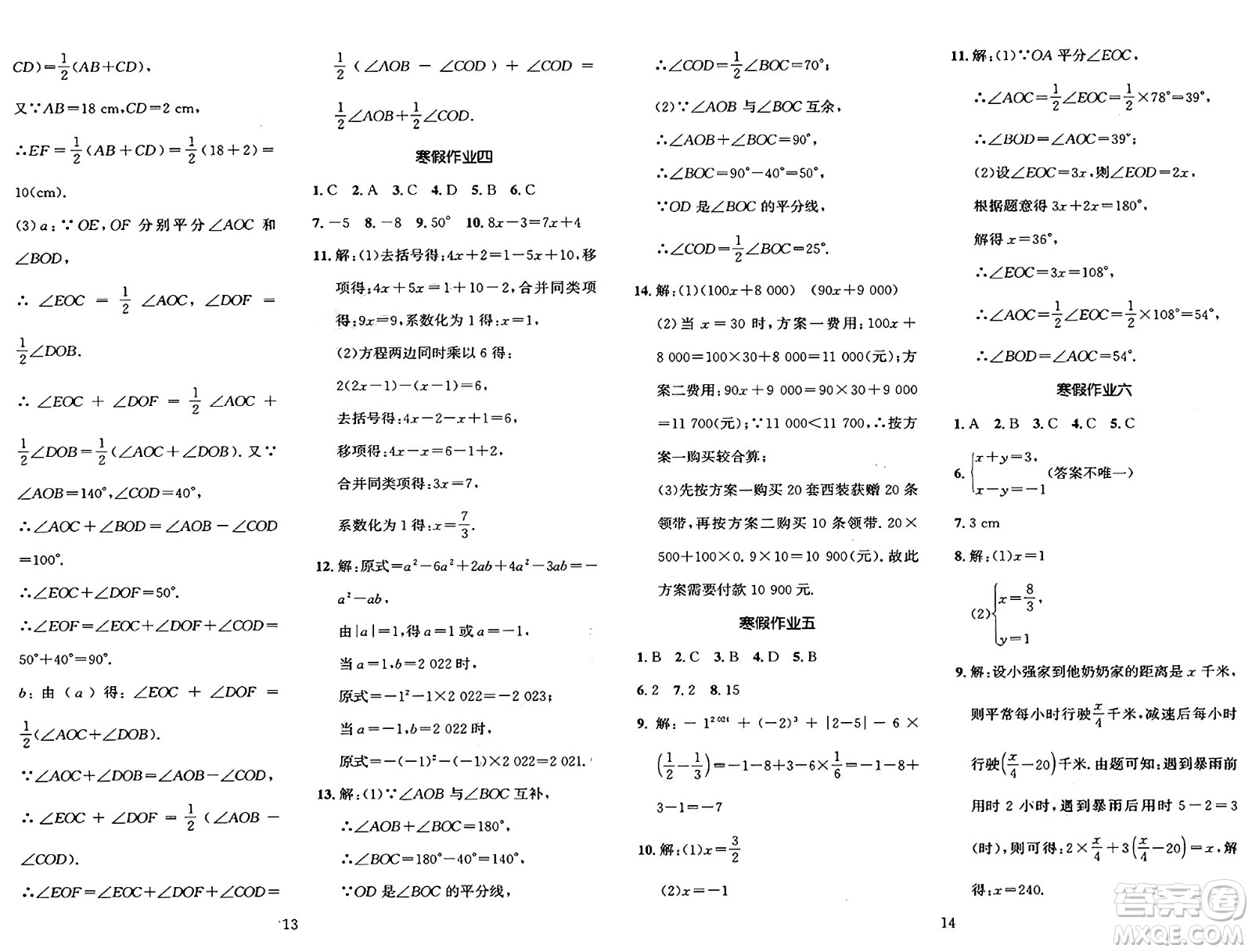 長江出版社2025年鑫浪傳媒給力100寒假作業(yè)七年級數(shù)學(xué)湘教版答案