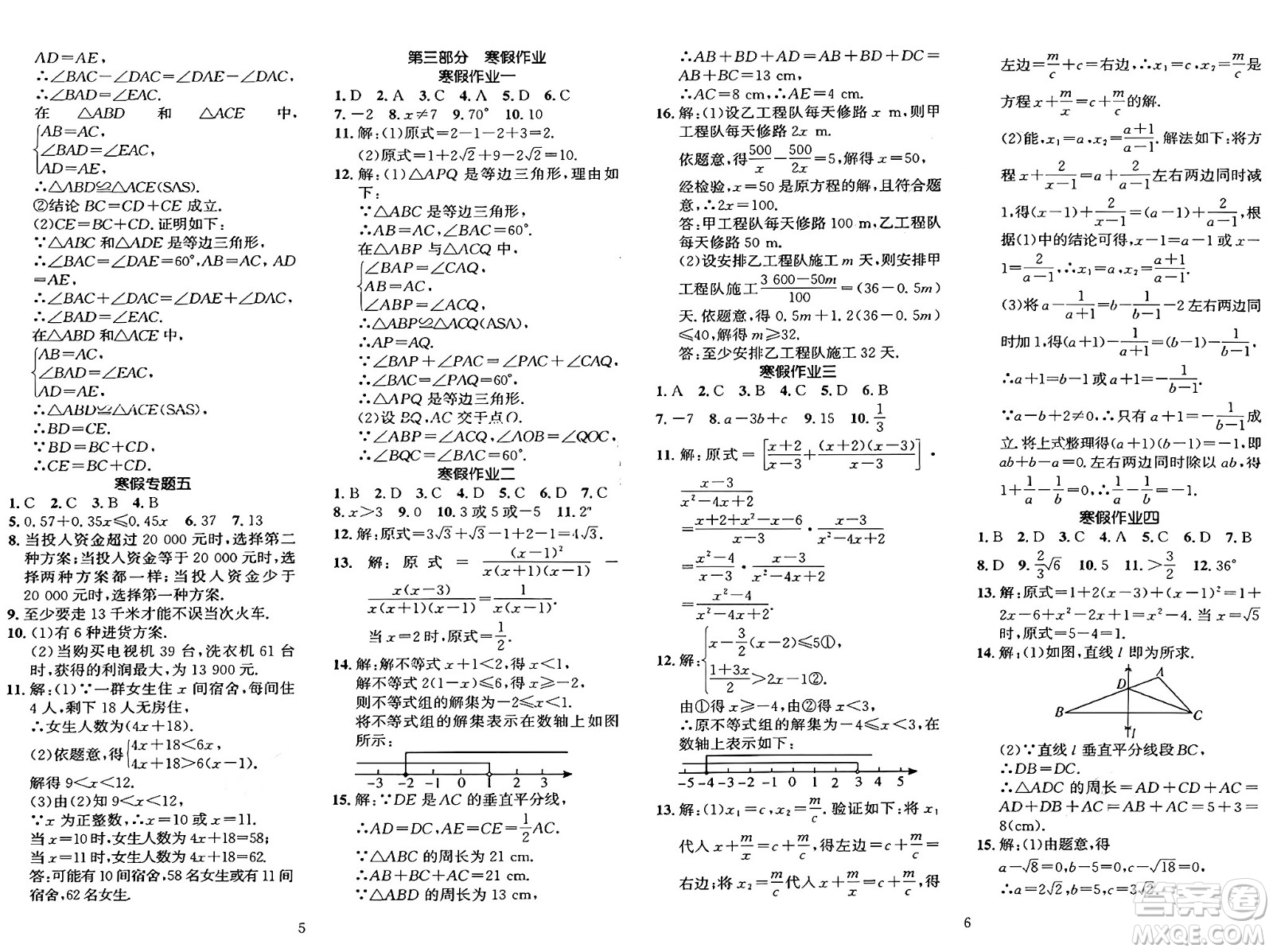 長江出版社2025年鑫浪傳媒給力100寒假作業(yè)八年級數(shù)學湘教版答案