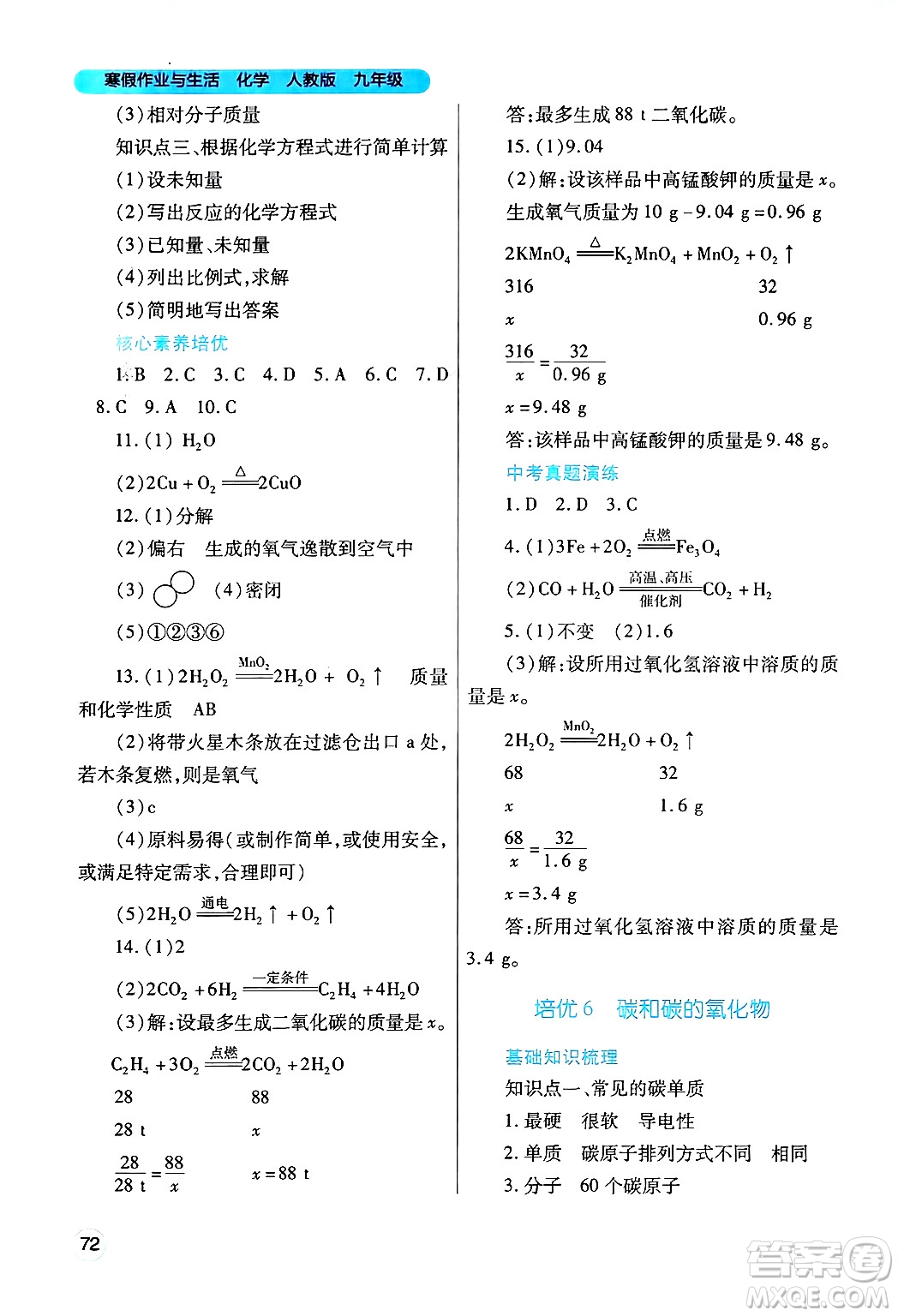 陜西師范大學(xué)出版總社有限公司2025年寒假作業(yè)與生活九年級(jí)化學(xué)人教版答案