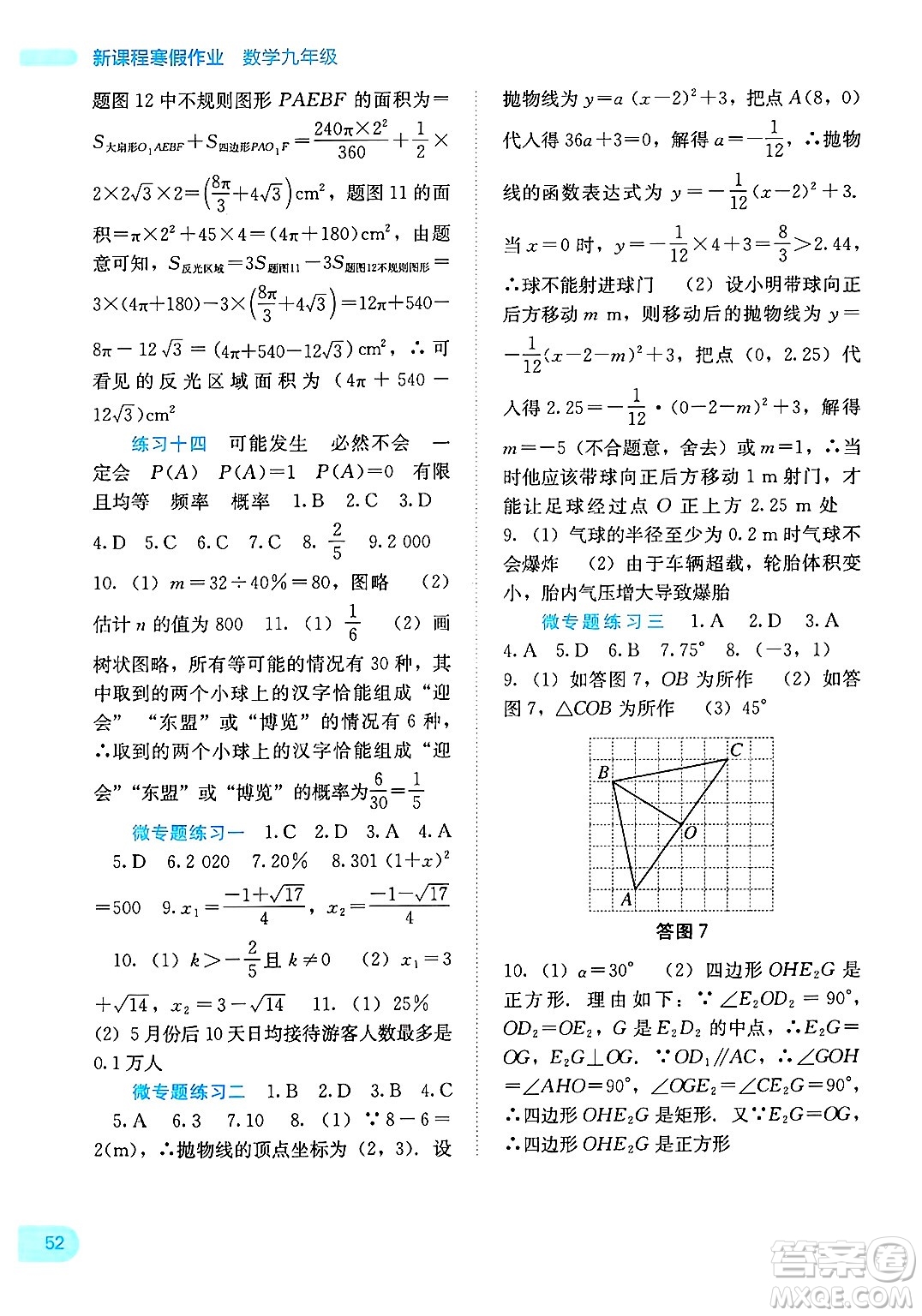 廣西教育出版社2025年新課程寒假作業(yè)九年級數(shù)學(xué)通用版答案