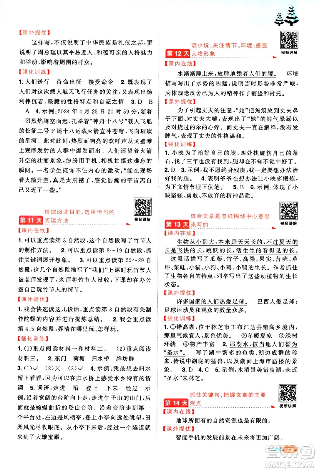 江西教育出版社2025年陽光同學(xué)寒假銜接六年級(jí)語文通用版答案