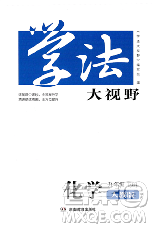 湖南教育出版社2025年春學(xué)法大視野九年級化學(xué)下冊人教版答案