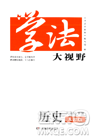 湖南教育出版社2025年春學(xué)法大視野九年級歷史下冊人教版答案
