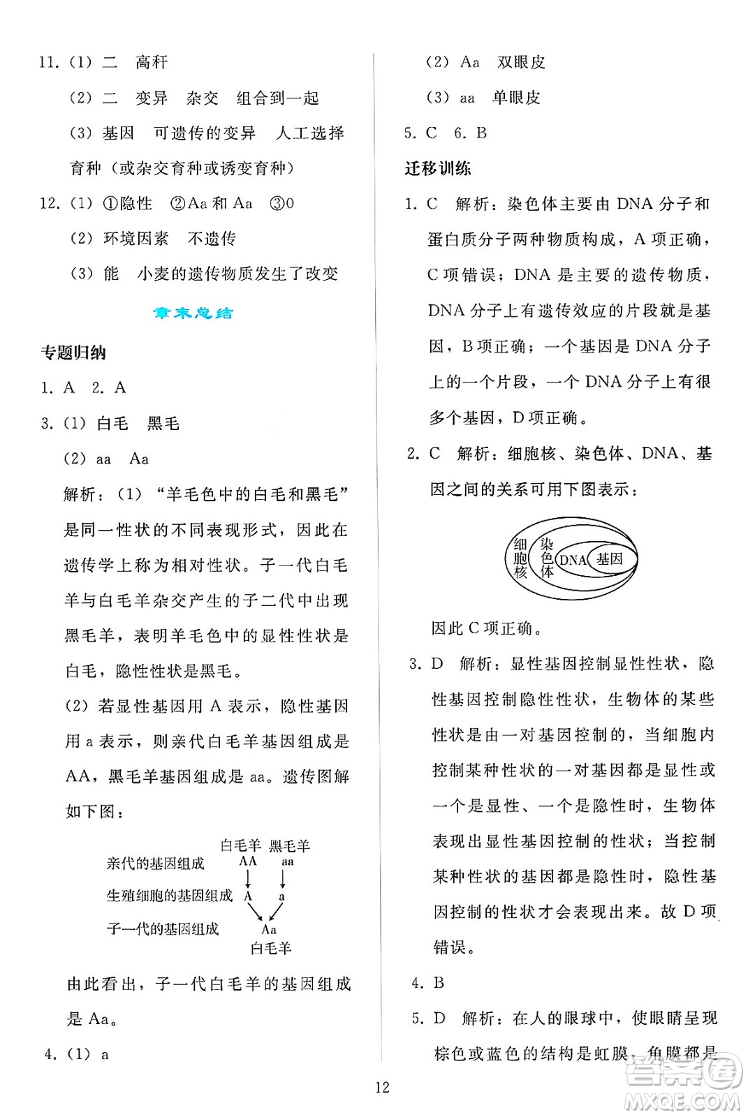 人民教育出版社2025年春同步輕松練習(xí)八年級(jí)生物下冊(cè)人教版答案
