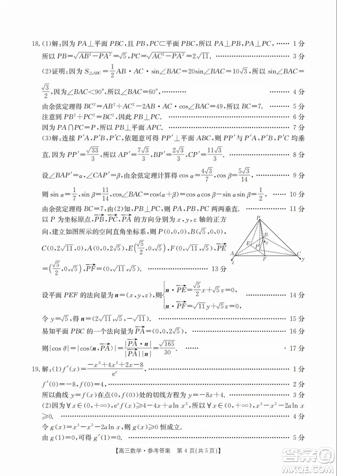 2025屆福建金太陽高三下學(xué)期2月開學(xué)聯(lián)考數(shù)學(xué)試題答案