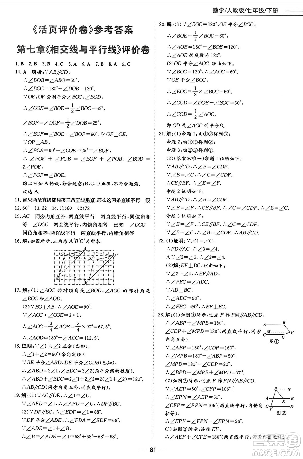 安徽教育出版社2025年春新編基礎(chǔ)訓(xùn)練七年級(jí)數(shù)學(xué)下冊(cè)人教版答案