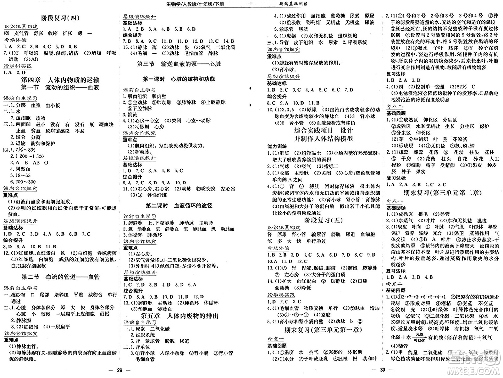 安徽教育出版社2025年春新編基礎(chǔ)訓(xùn)練七年級(jí)生物下冊(cè)人教版答案